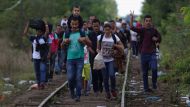 - Беженцы немедленно бегут в Германию, во Францию, где наблюдается высокий социальный уровень, - утверждал в программе «Гостевые новости» Томаш Ржимковский из Kukiz'15